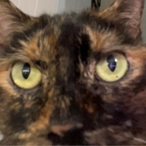 Meet your Posher, Derrion